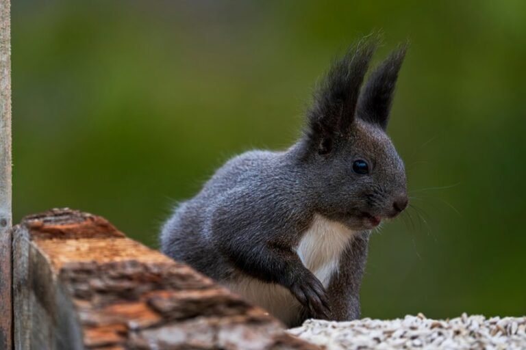 caller tracking notes and alerts for phone 07701 407039