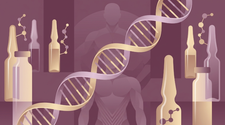 Growth Hormone Peptides: Best Sources for CJC/Ipamorelin